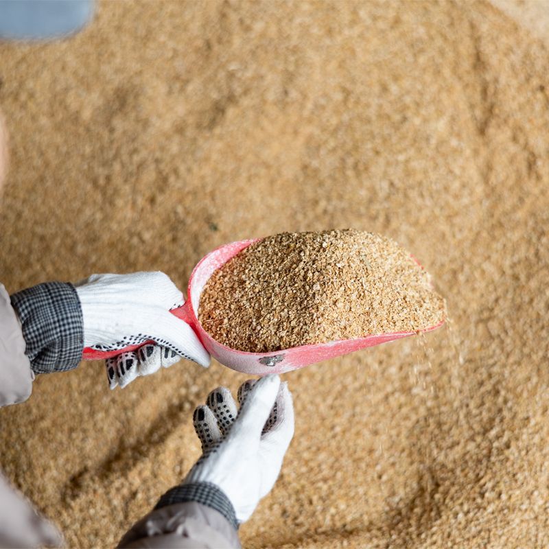 Al Ghurair Foods animal nutrition products &ndash; livestock feed, protein ingredients, and fibre pre-mixes for GCC and Asia